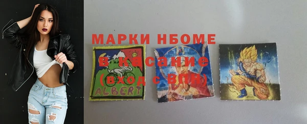МДПВ Инсар