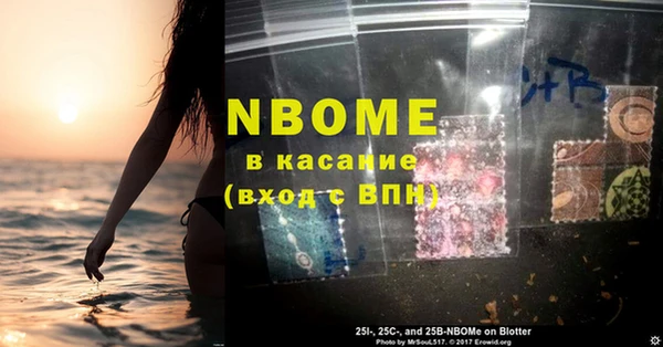МДПВ Инсар