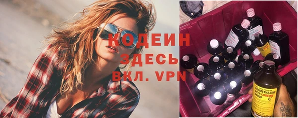 МДПВ Инсар