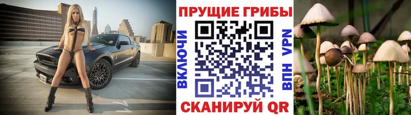 Купить  Пыталово  Галлюциногенные грибы прущие грибы 